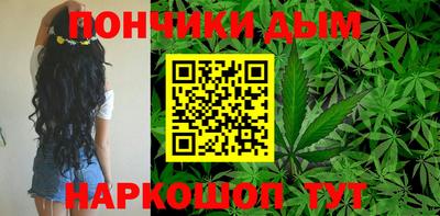 крисы Коммунар