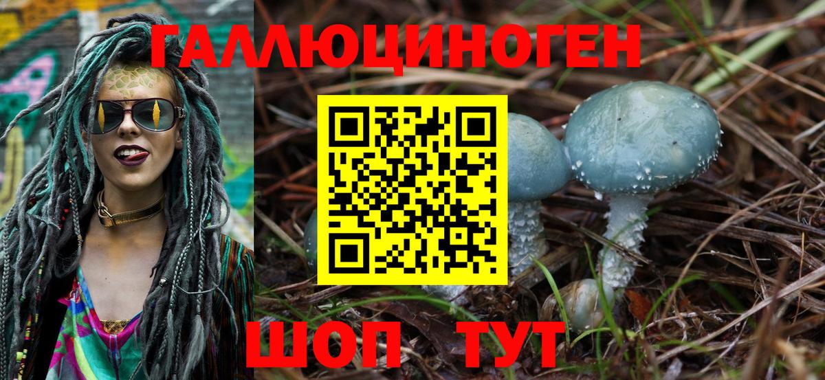 Псилоцибиновые грибы Cubensis  Вход с VPN  Конаково 